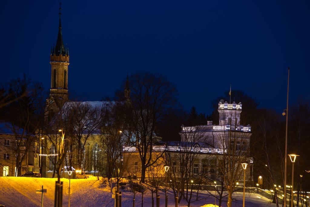 Inga Vacation House Druskininkai Buitenkant foto