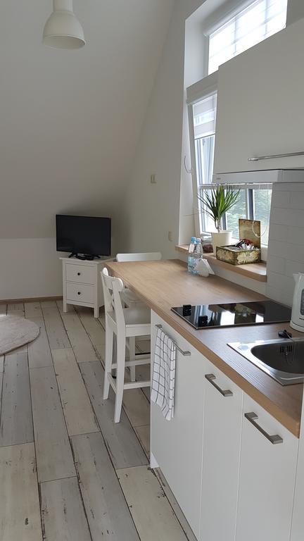 Inga Vacation House Druskininkai Buitenkant foto