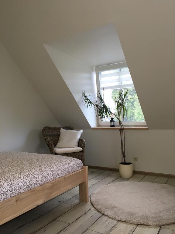 Inga Vacation House Druskininkai Buitenkant foto