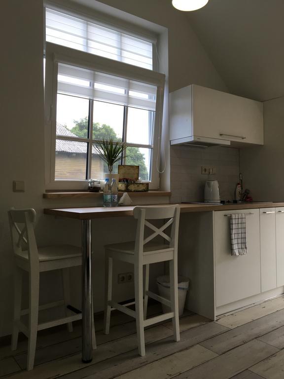 Inga Vacation House Druskininkai Buitenkant foto